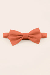 Harry Kids Bow Tie