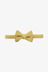 Daniel Bow Tie