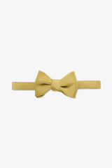 Daniel Bow Tie