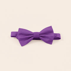 Harry Kids Bow Tie