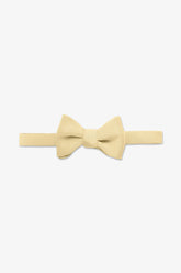 Daniel Bow Tie