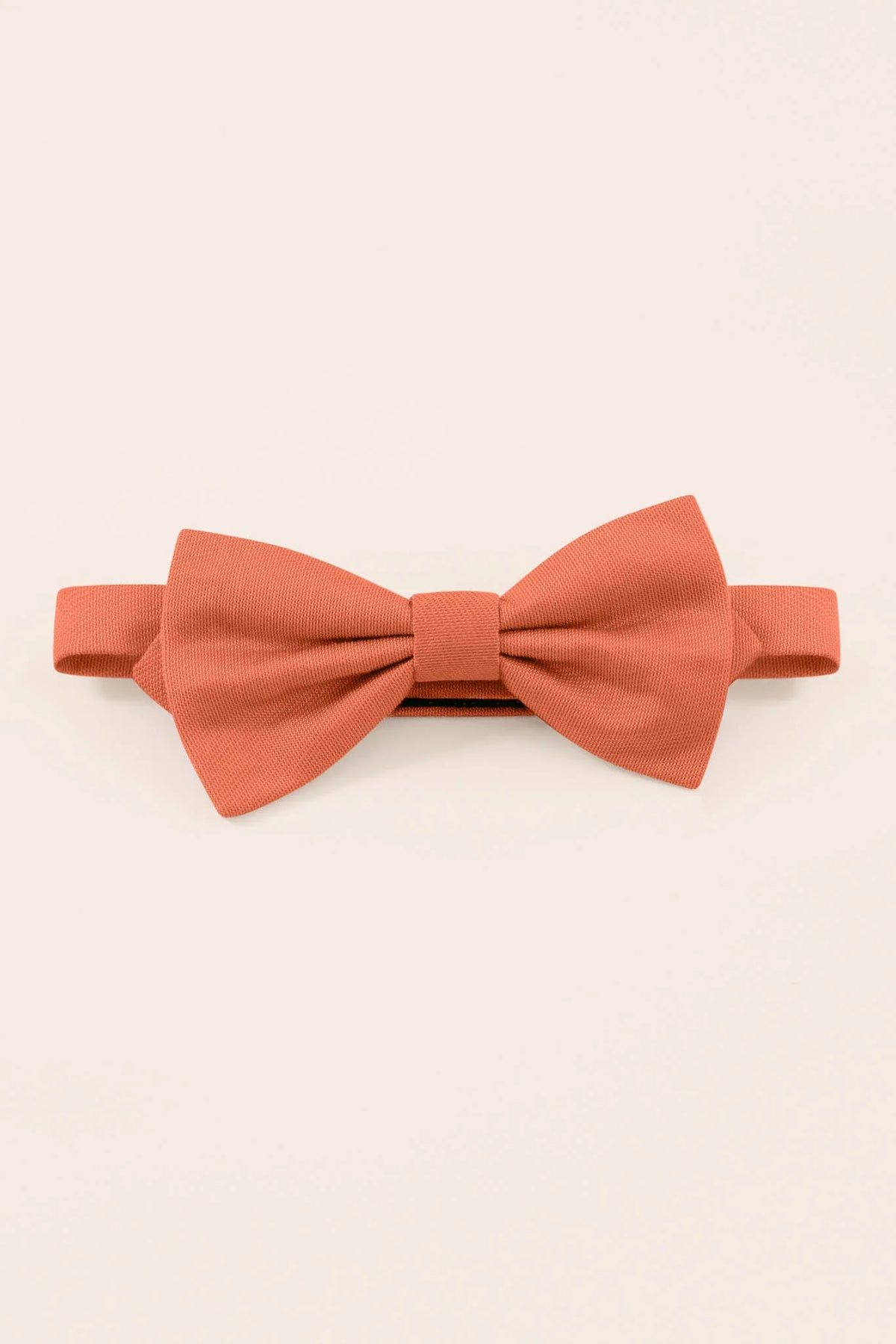 Harry Kids Bow Tie
