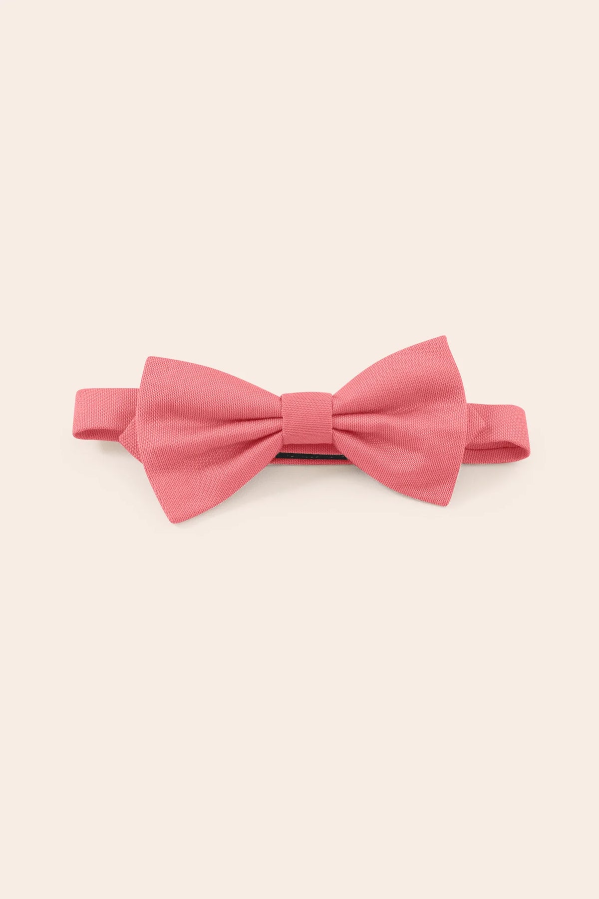 Harry Kids Bow Tie
