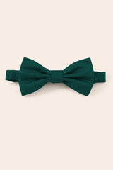 Harry Kids Bow Tie