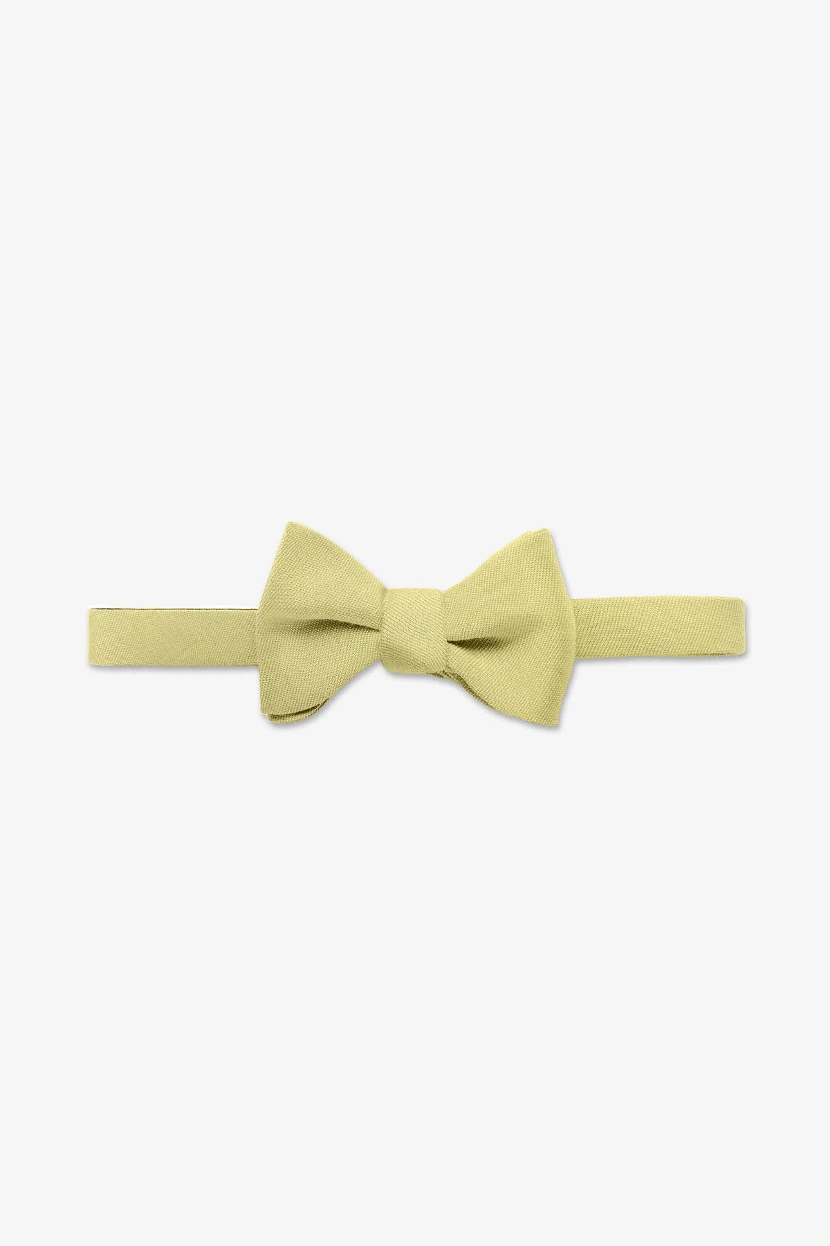 Daniel Bow Tie
