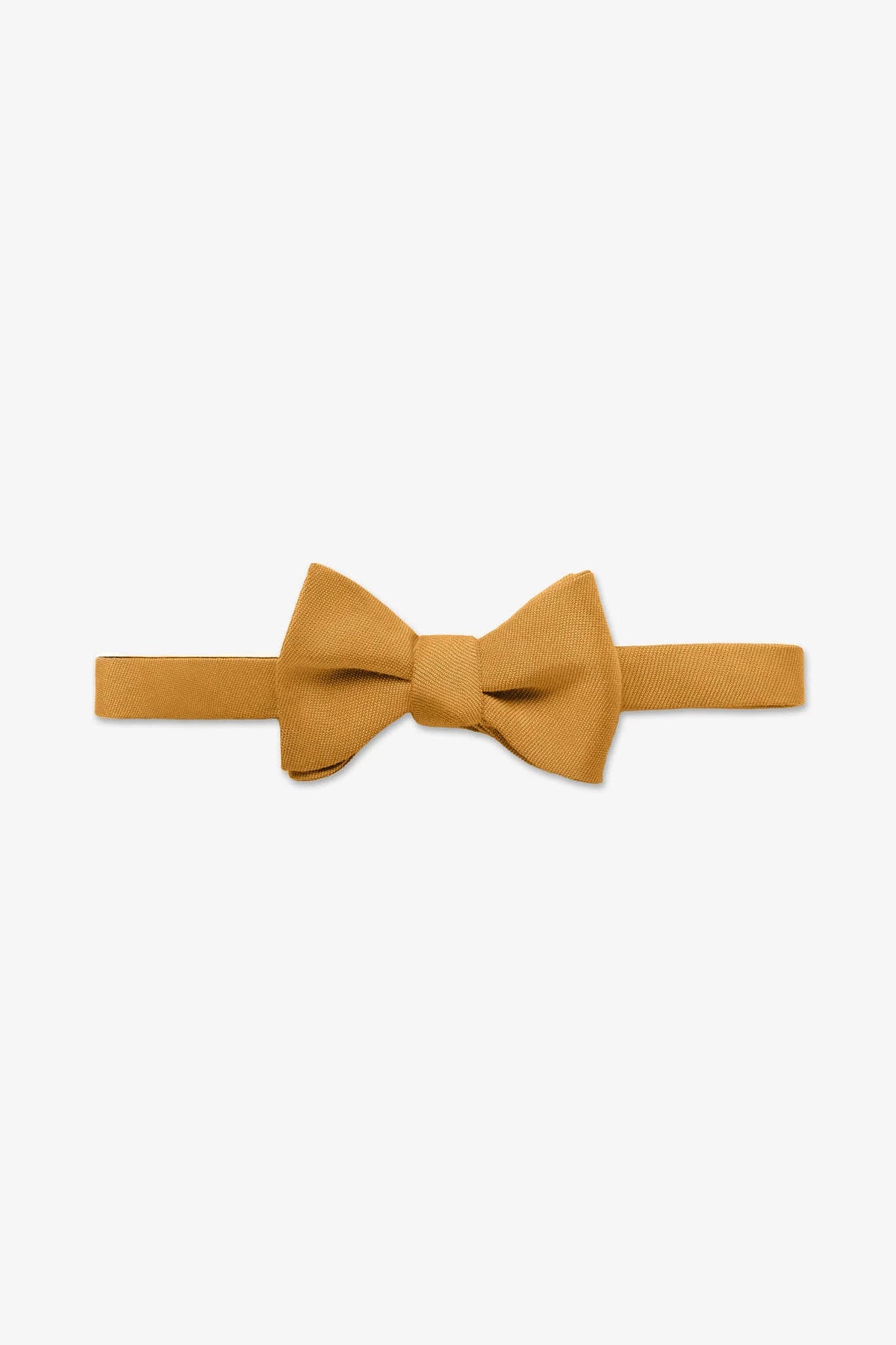 Daniel Bow Tie