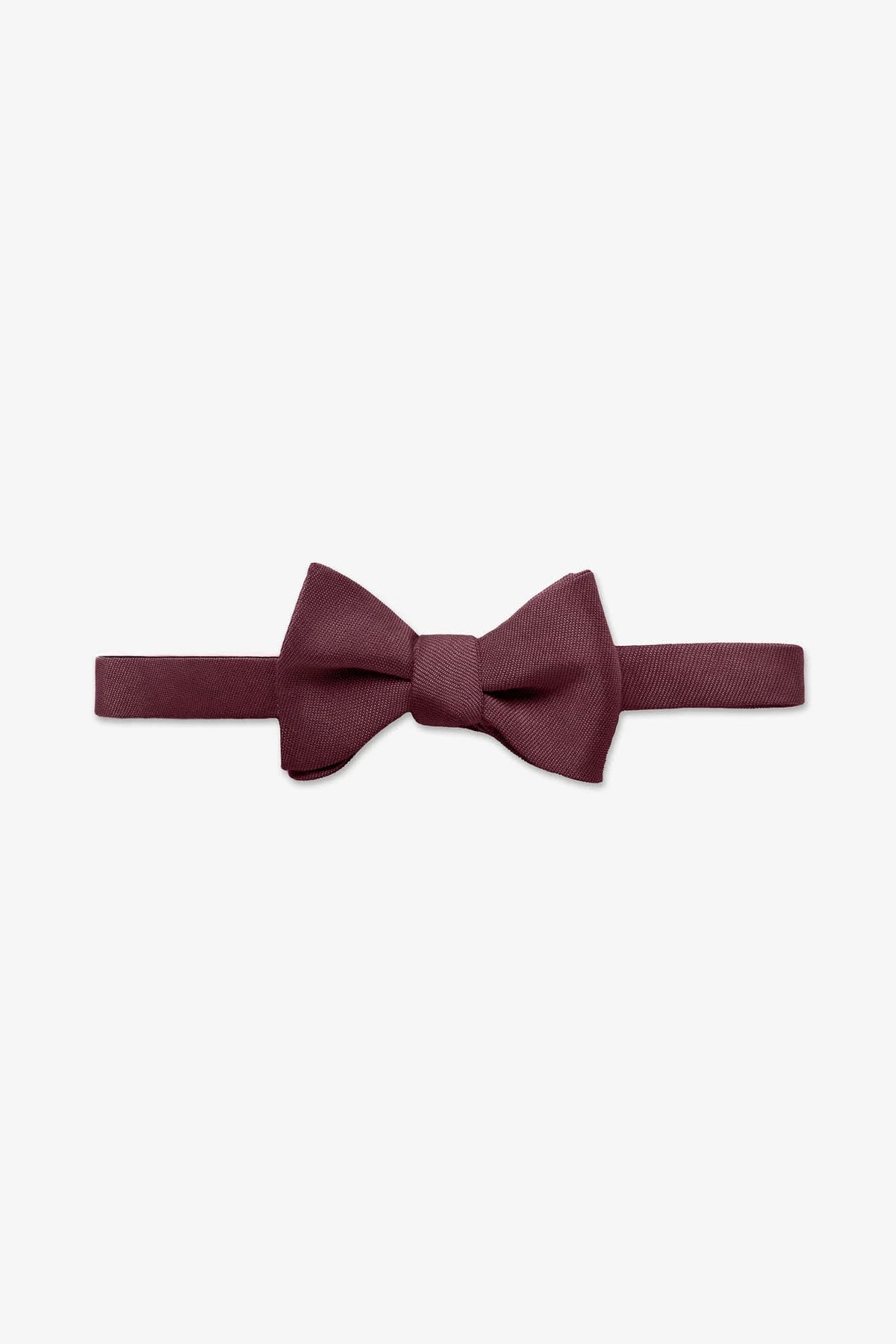 Daniel Bow Tie