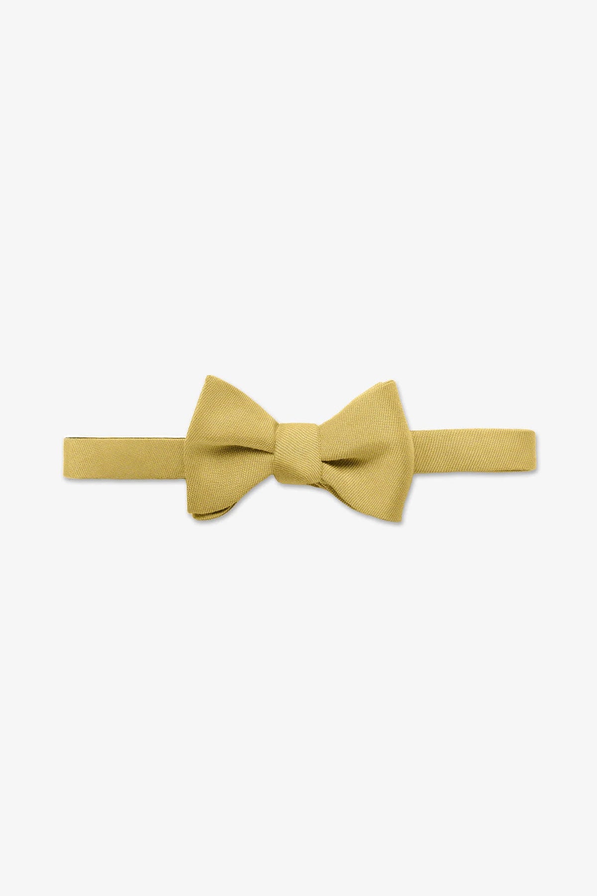 Daniel Bow Tie
