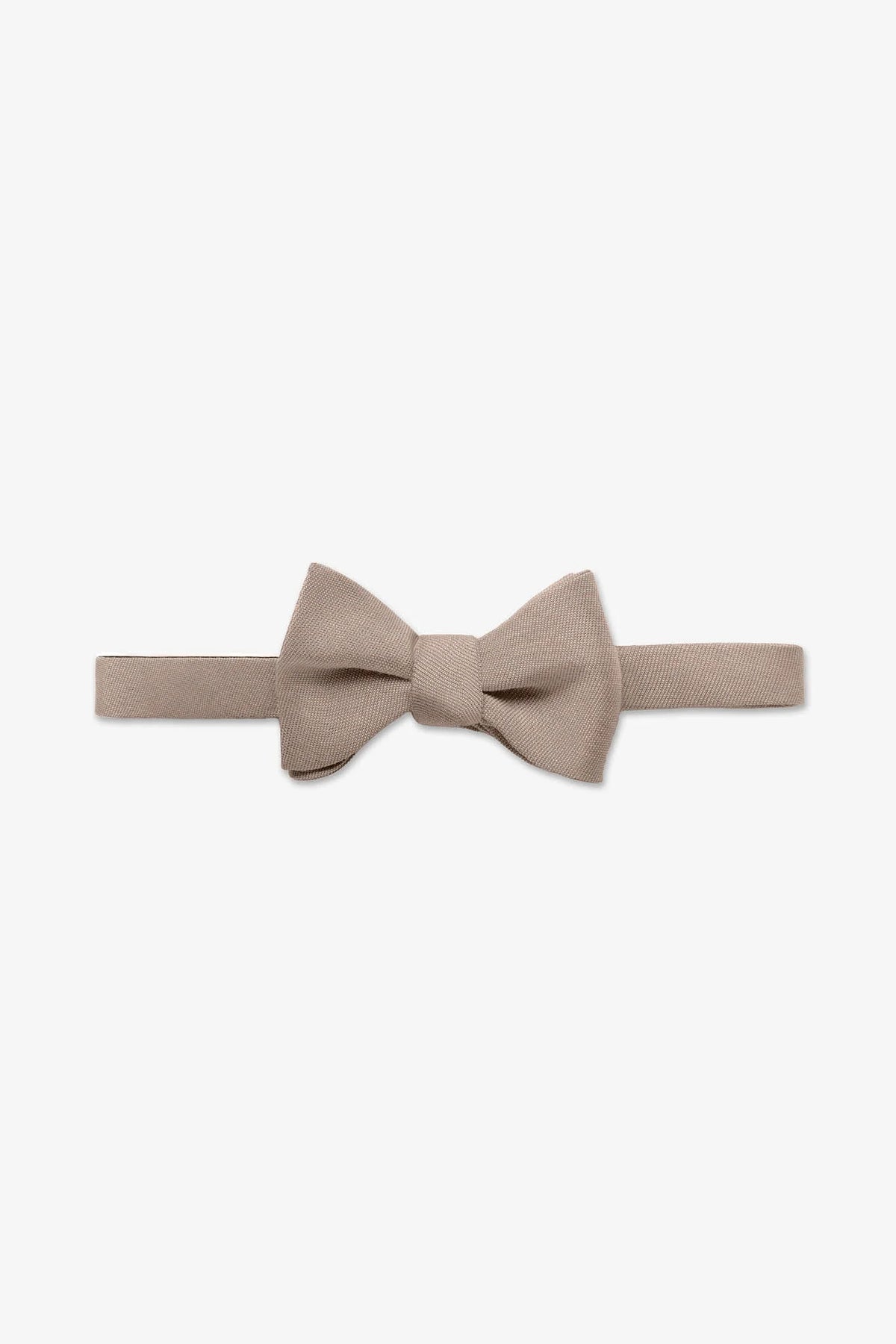 Daniel Bow Tie
