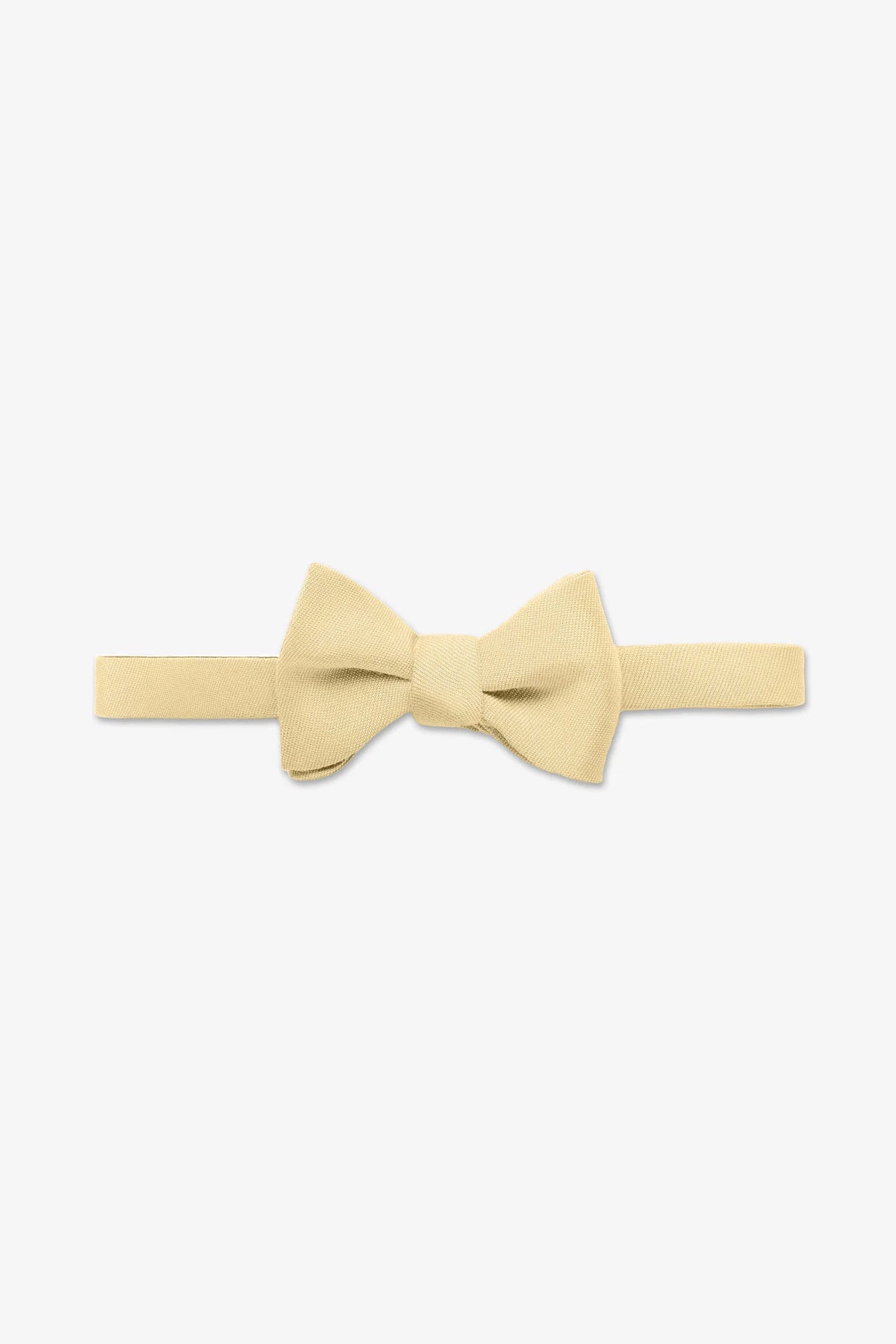 Daniel Bow Tie