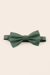 Harry Kids Bow Tie