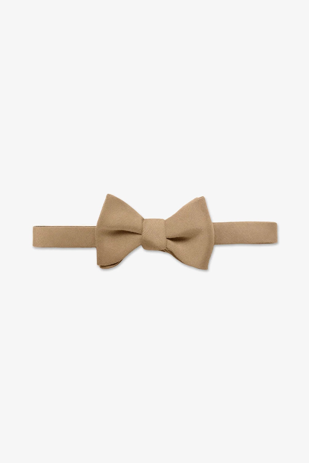 Daniel Bow Tie
